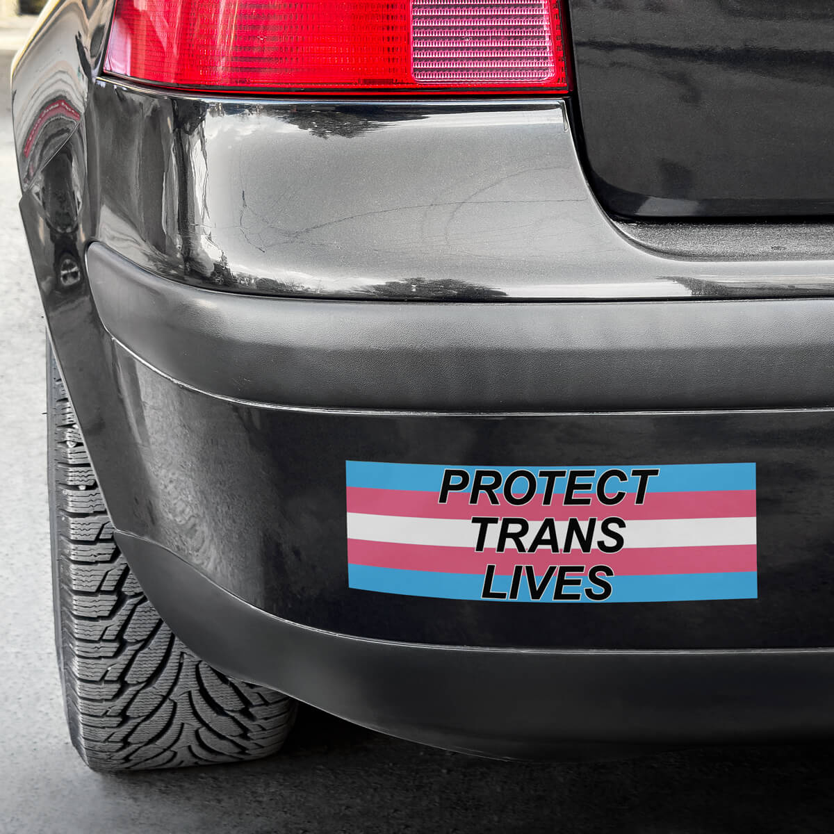 Protect Trans Lives Bumper Sticker • Luna