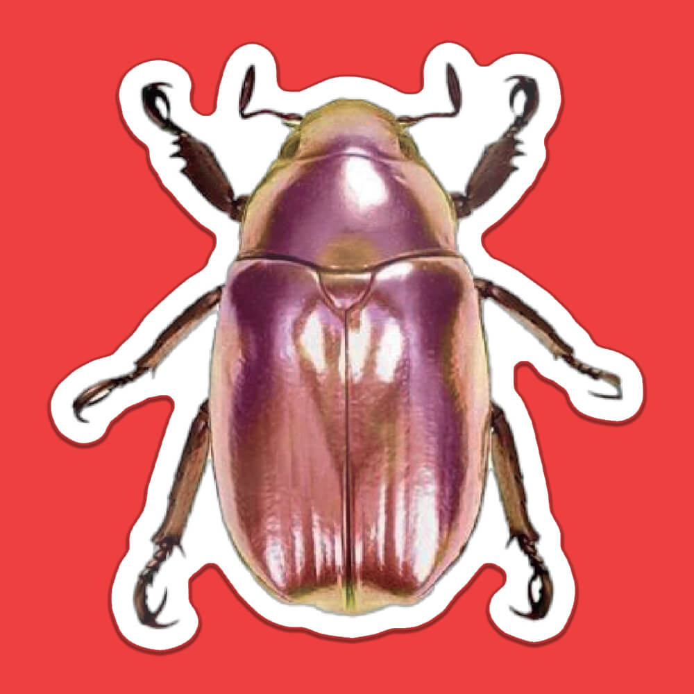 Shiny Beetle Sticker • Luna