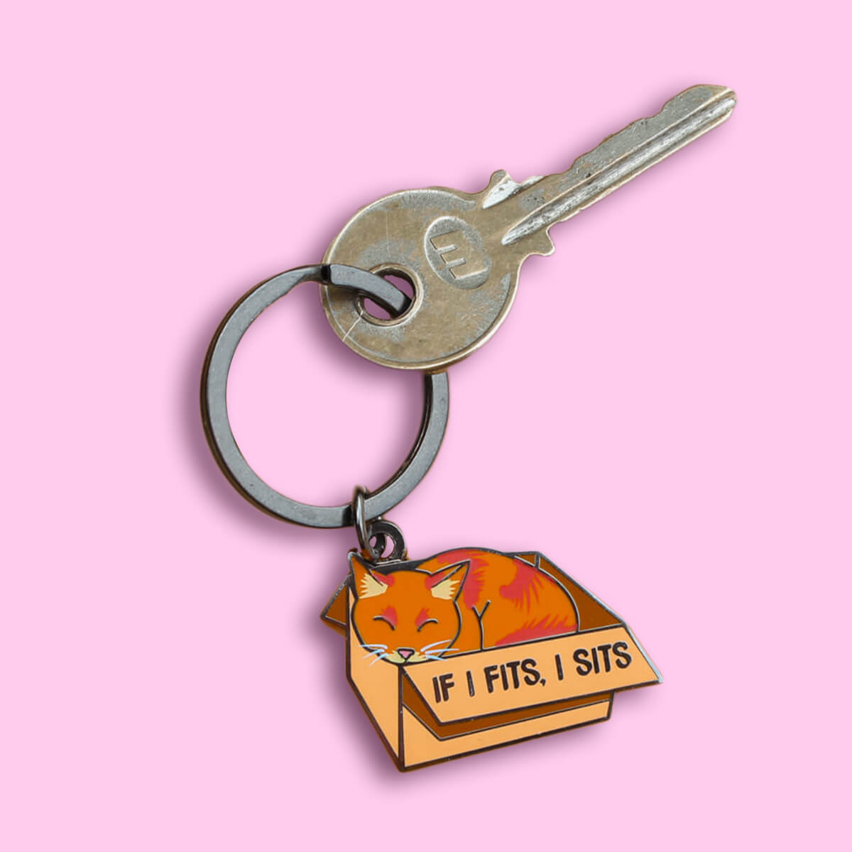 If I Fits I Sits Keyring