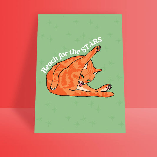 Cat Licking Butt A4 Print