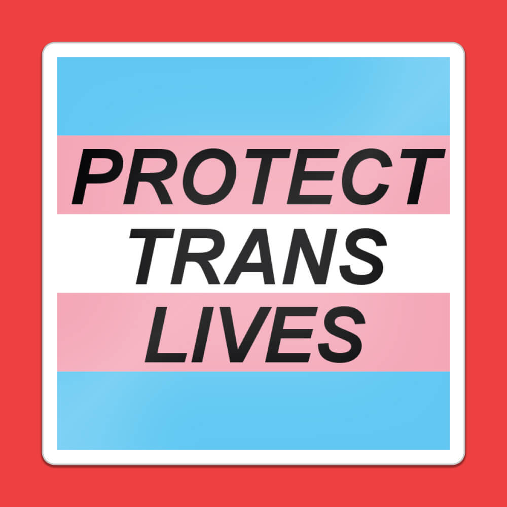 Protect Trans Lives Sticker • Luna