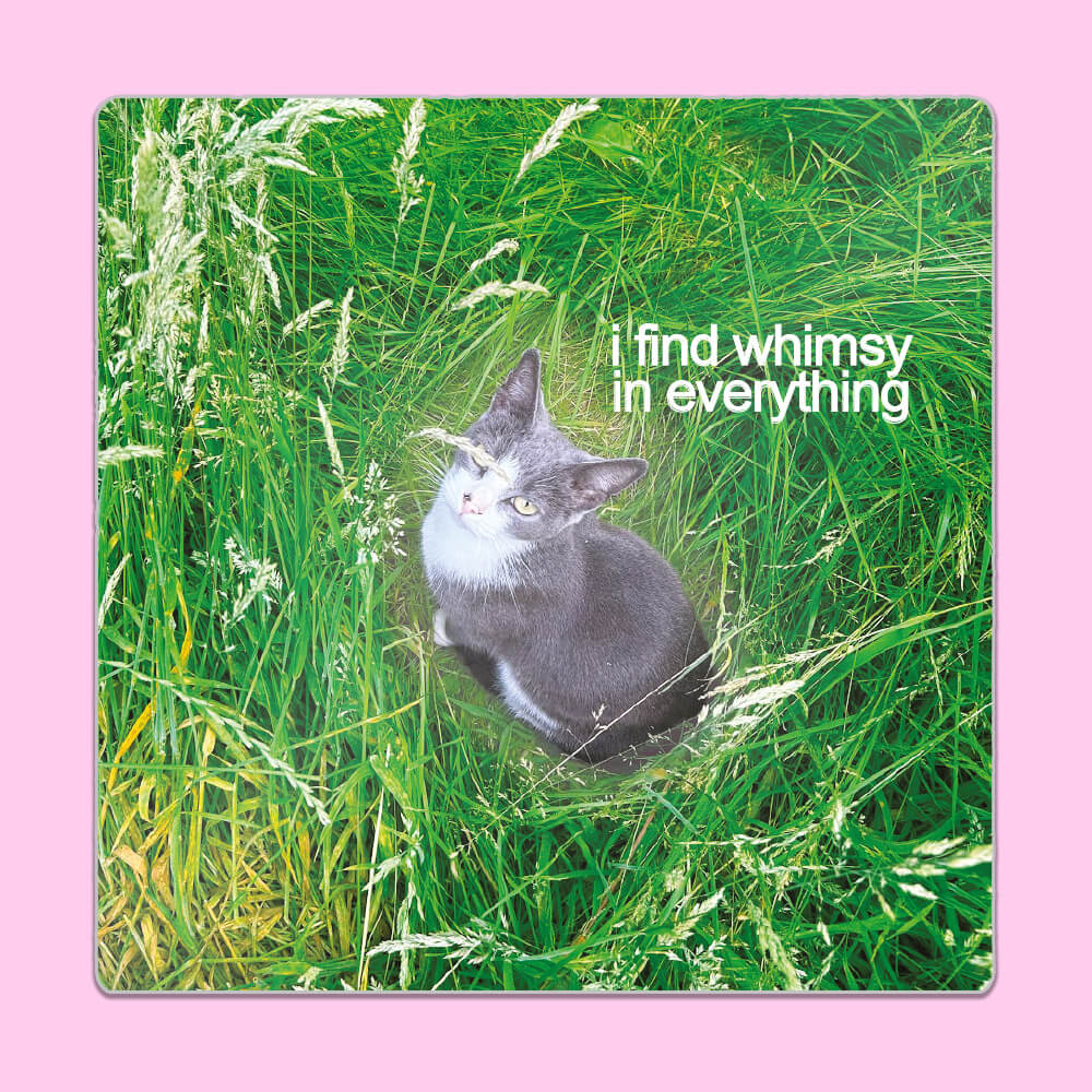 I Find Whimsy In Everything Sticker • Luna