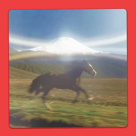 Running Horse Sticker • Luna